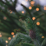 Weihnachten 2021