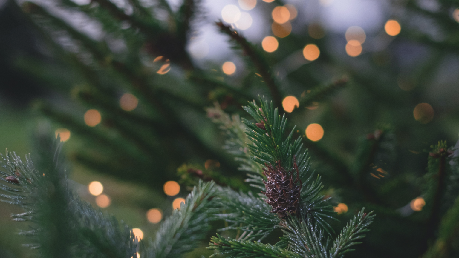 Weihnachten 2021