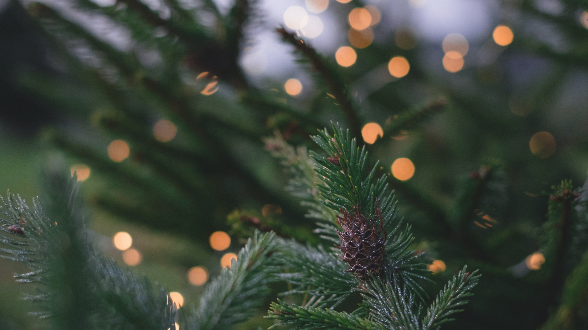 Weihnachten 2021