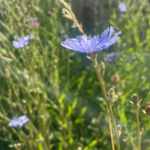 Termine in den Sommerferien Physiotherapie Tuttlingen.