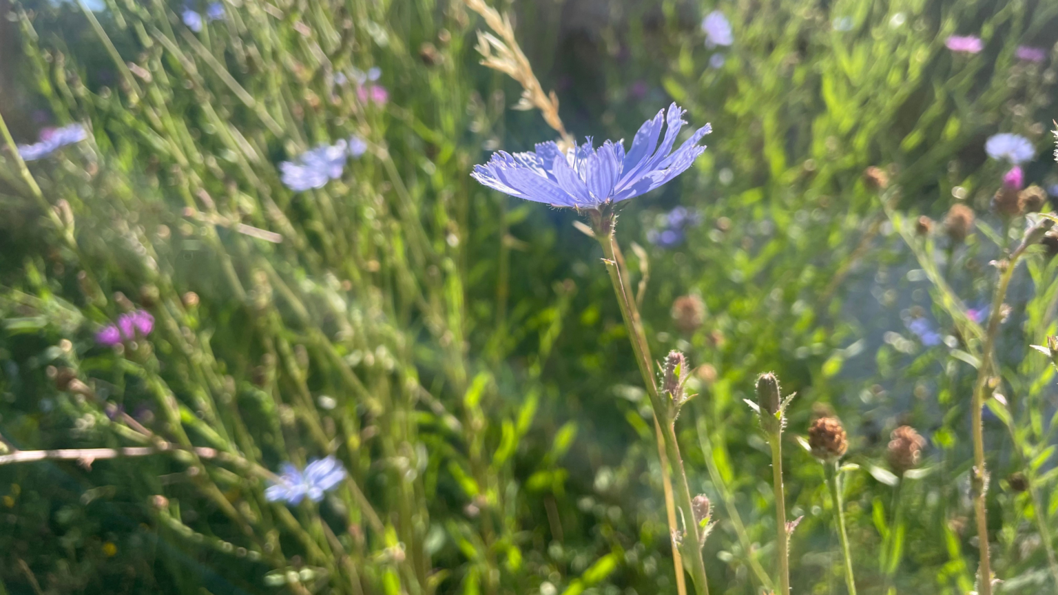 Termine in den Sommerferien Physiotherapie Tuttlingen.